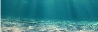 Deniz MELANLIOGLU banner