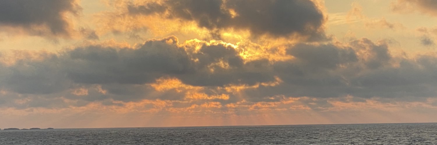 michaelmeyerr's profile banner image