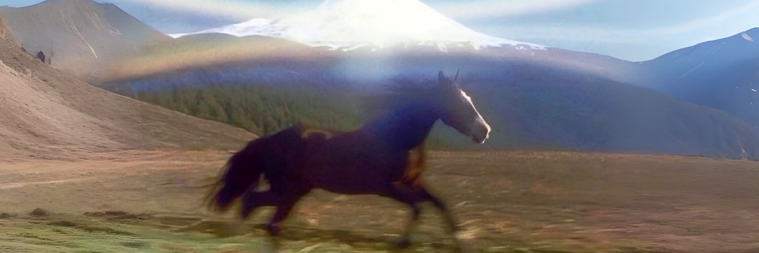 felipemisale's profile banner image
