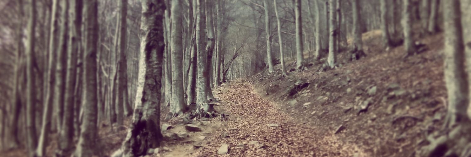 natiperi81's profile banner image