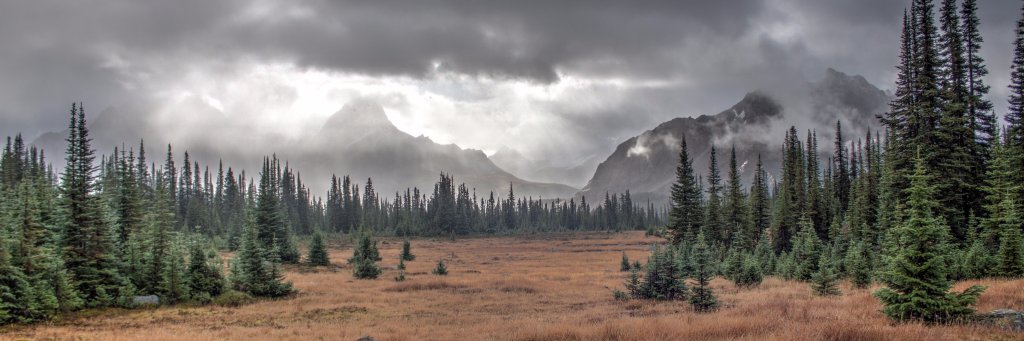 Rugged Canadian banner