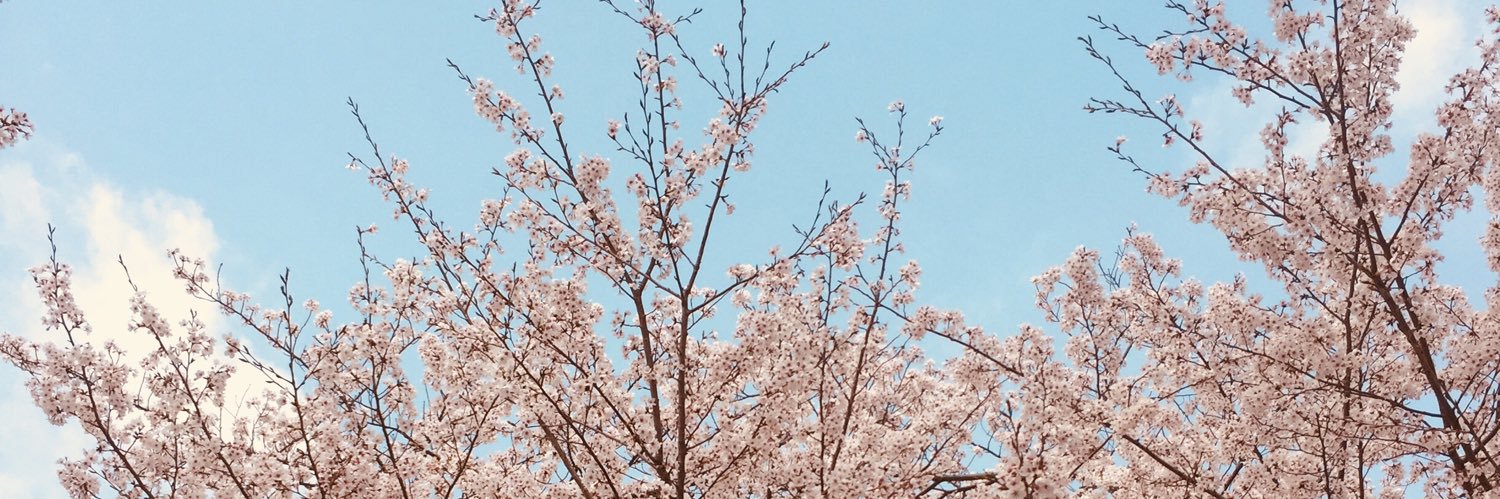 namisadasue's profile banner image