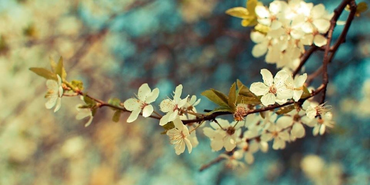 AlejandraMatosE's profile banner image