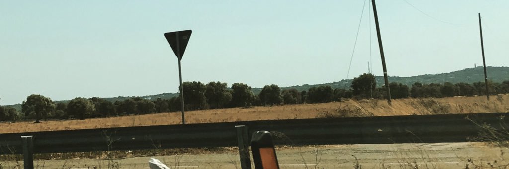 Alessandra Ferrari banner