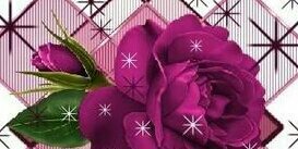 vermell20's profile banner image