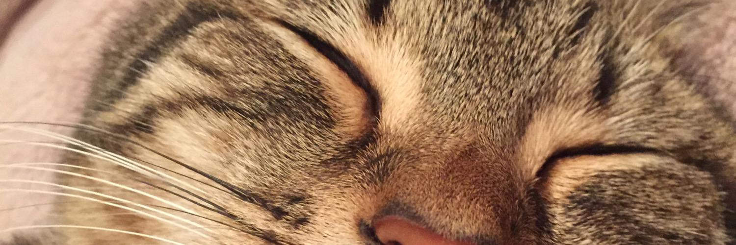 jonnycusack's profile banner image