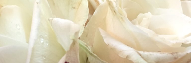 SaudiCitizen's profile banner image