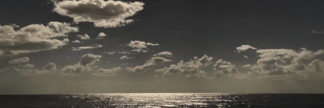a445566a's profile banner image