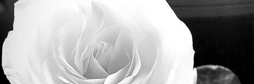Sohatred's profile banner image