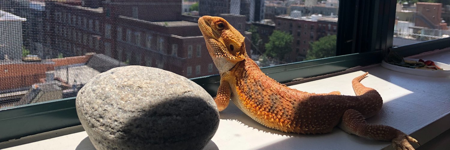 annaneeks's profile banner image