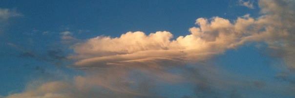 BosBeijer's profile banner image