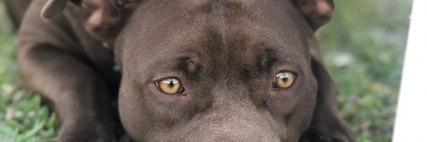 ViictoriaBury's profile banner image