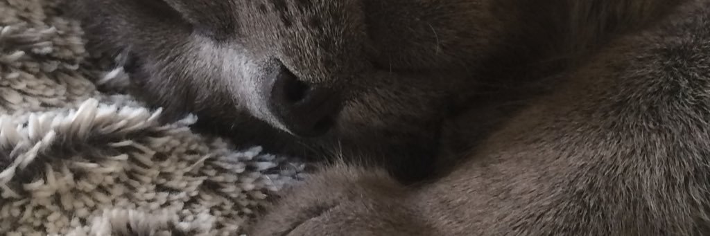 carolinemrn_'s profile banner image