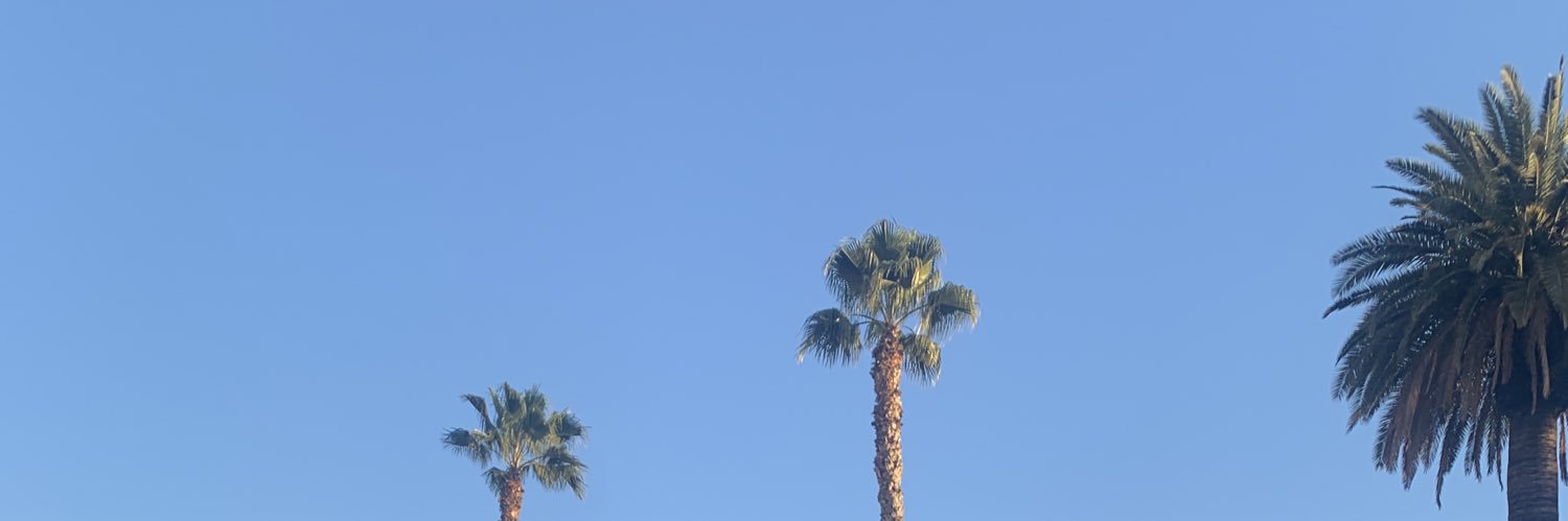 ydneyS's profile banner image