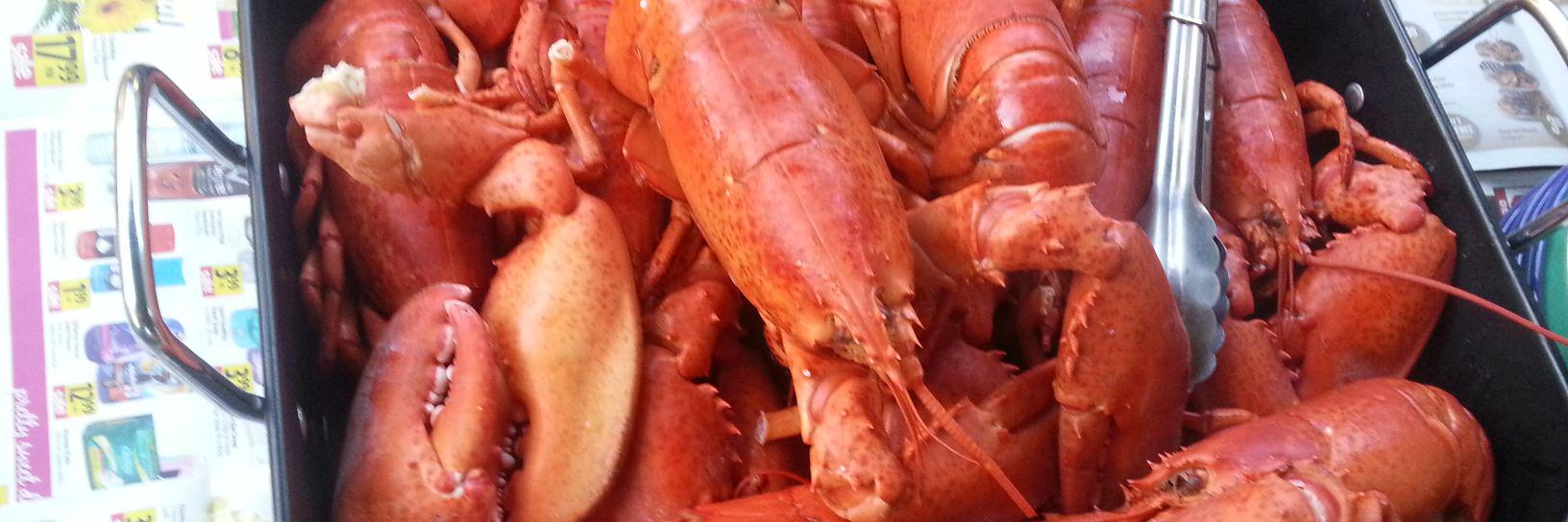 LobsterDIK's profile banner image