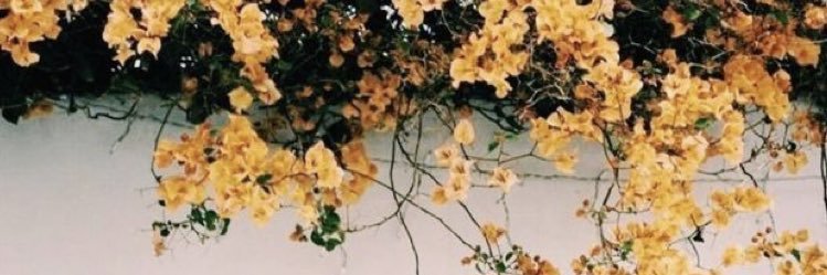 azarialines's profile banner image