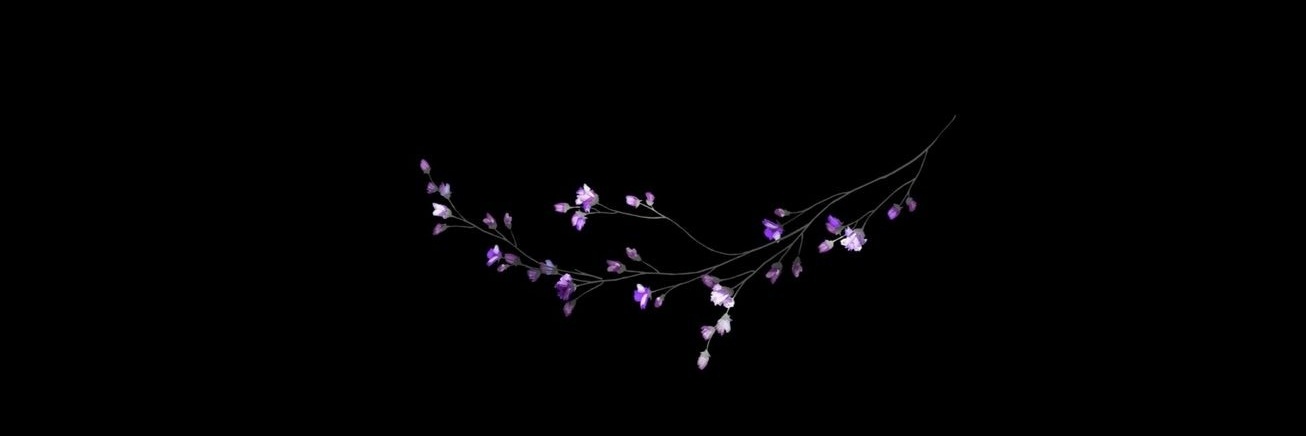 EstiiLaserna's profile banner image