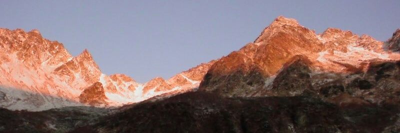 piyoco_7's profile banner image