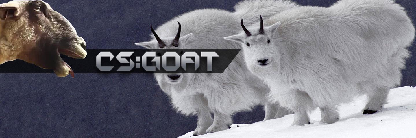 Cs_Goats's profile banner image
