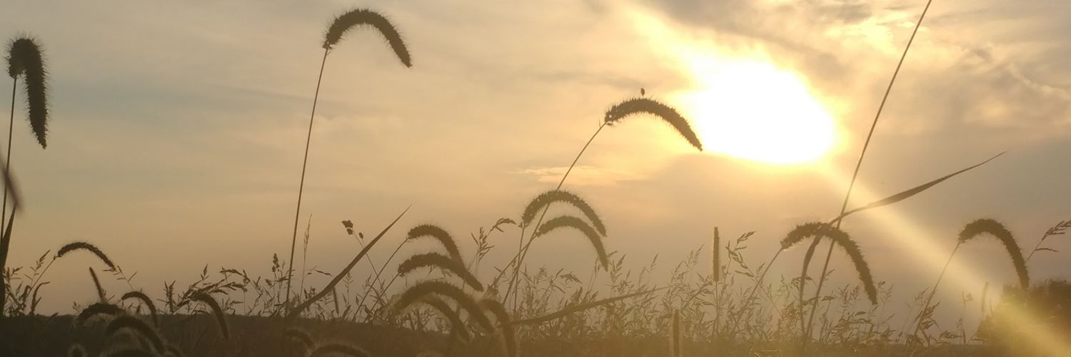 unit_a's profile banner image