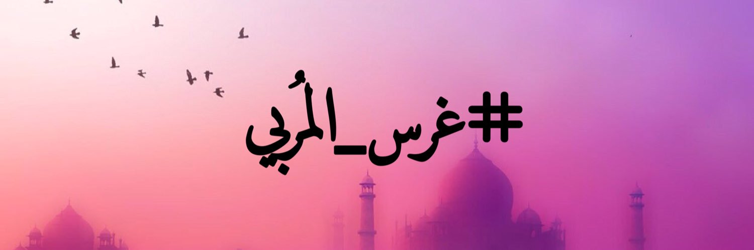 haneenalsane's profile banner image