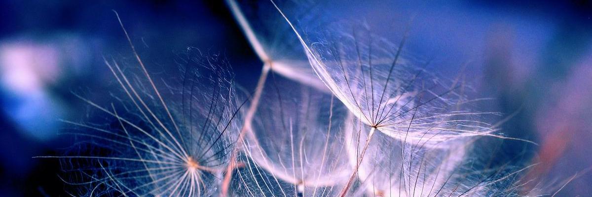 33ED888's profile banner image
