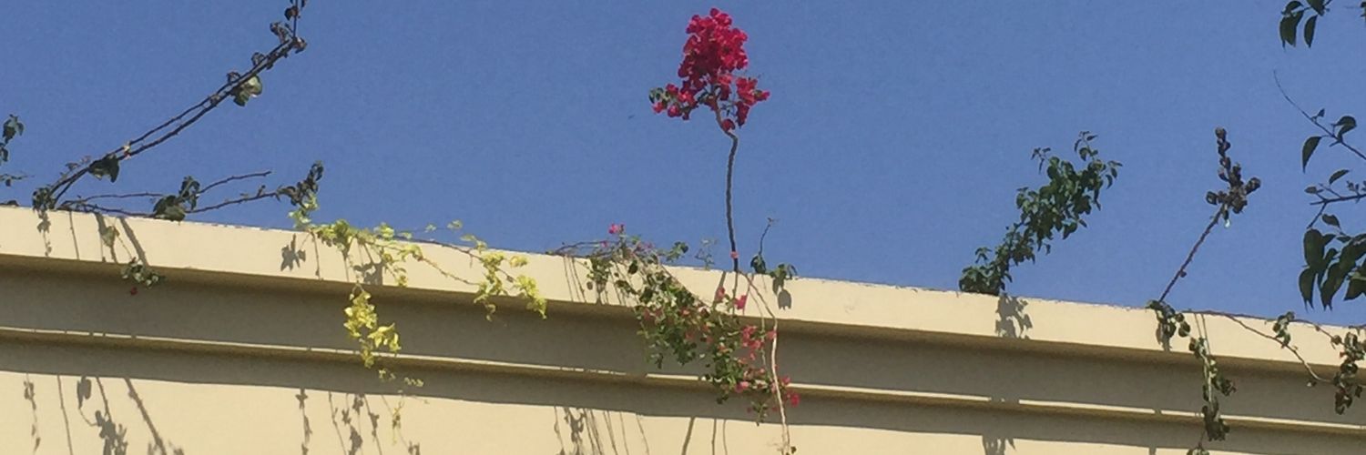 JulineDB_'s profile banner image