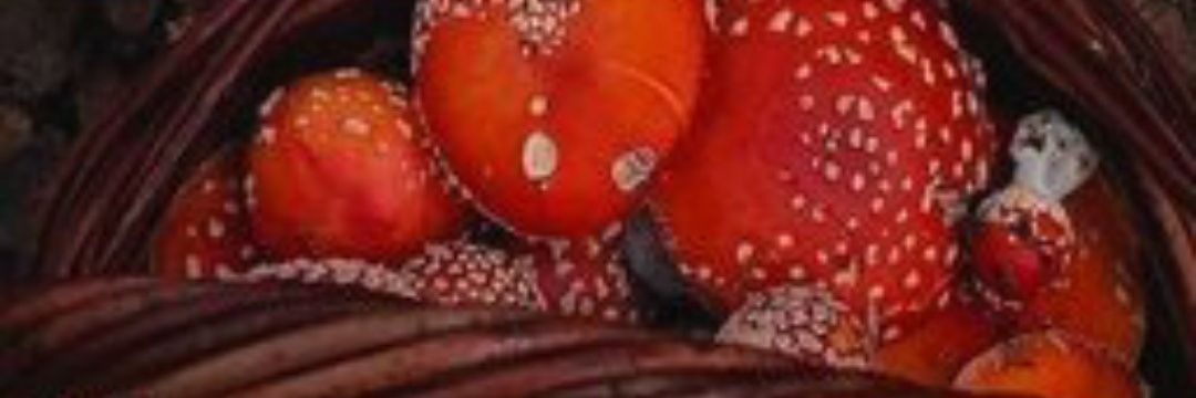 82IDI's profile banner image