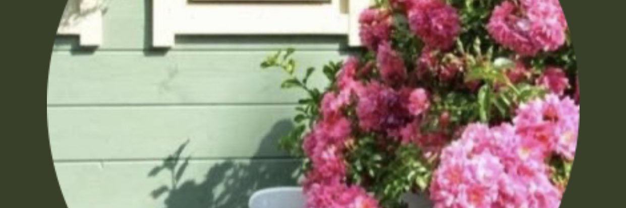 norah199's profile banner image