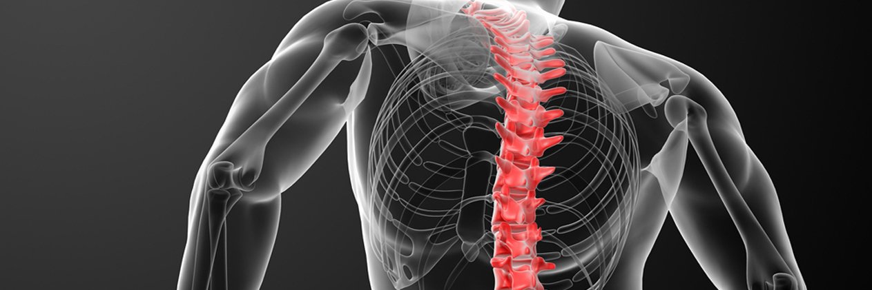 WorldHealthWell's profile banner image