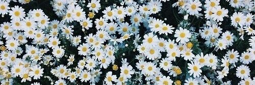 anabelmrt's profile banner image