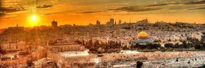 44mohamed771's profile banner image