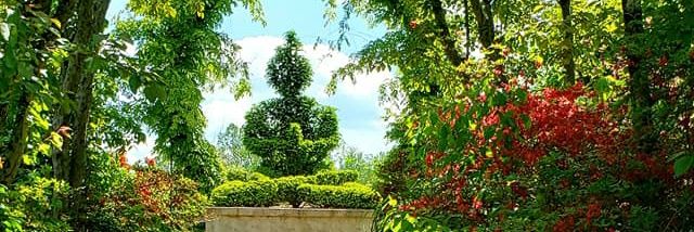Deborah Newlin🇺🇸 banner
