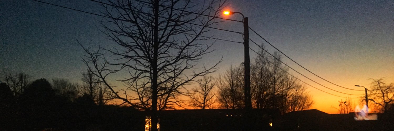 margotnu__'s profile banner image
