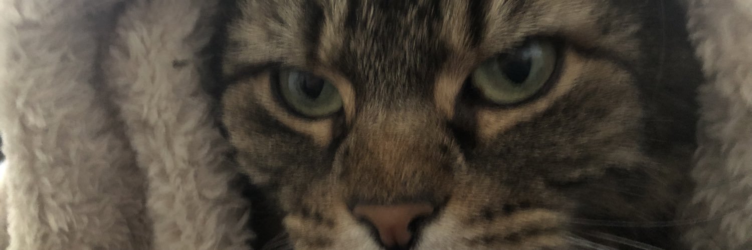 justfuzzy's profile banner image