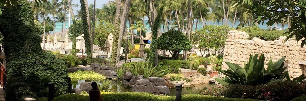 Victoria Caputo banner