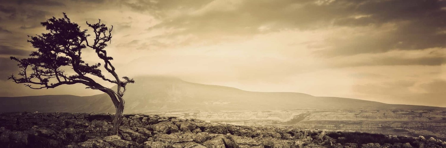 diego_alma's profile banner image