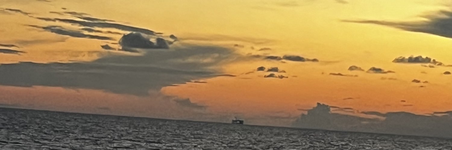 sirant618's profile banner image