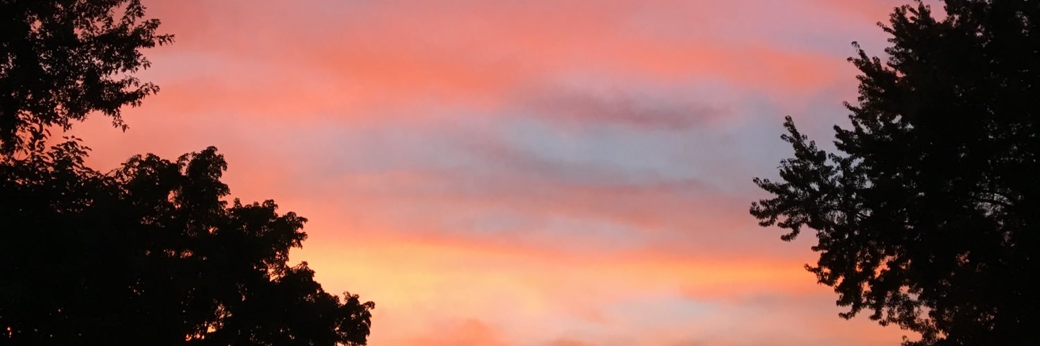arbs721's profile banner image