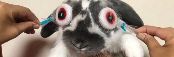 Echos Profile Banner