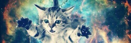 barbcat24's profile banner image