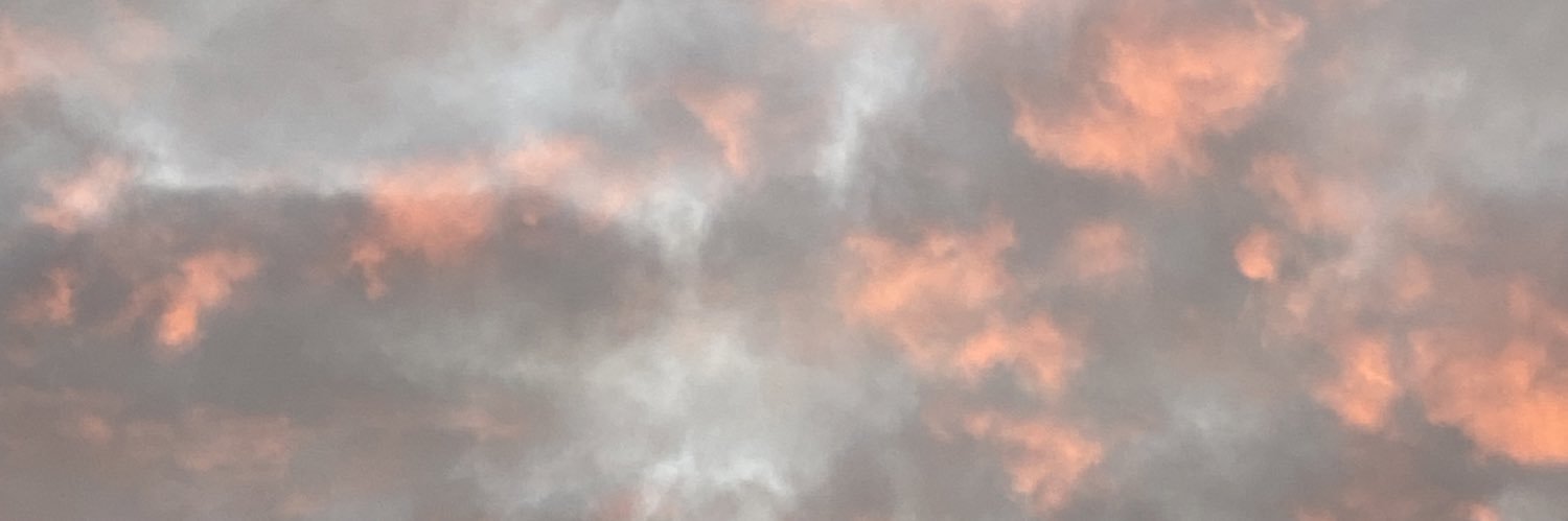 jillydelelles's profile banner image