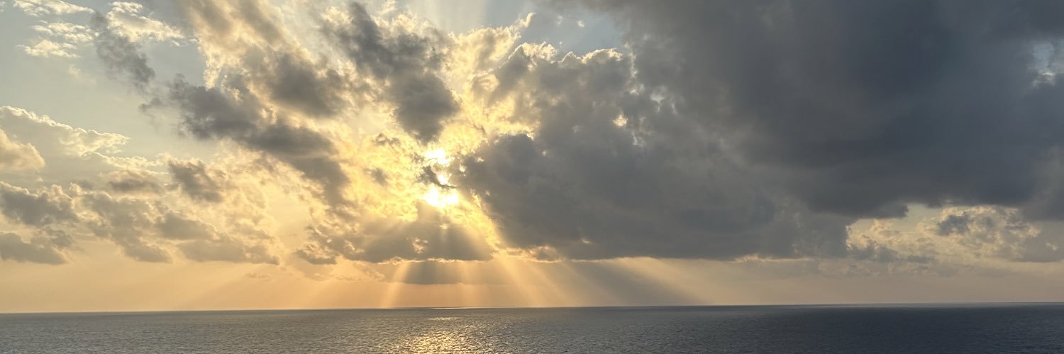 maiamayjoi's profile banner image