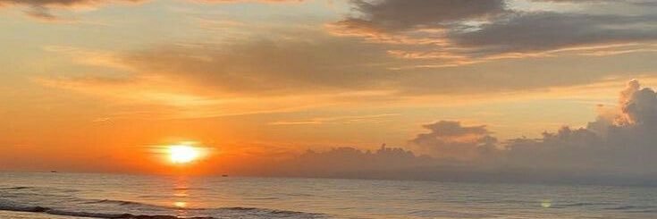 olvvjulia's profile banner image