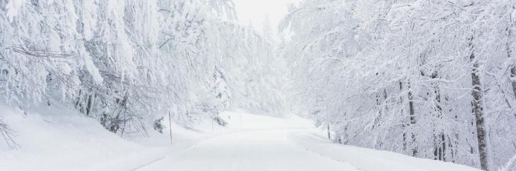 Misstinguette banner