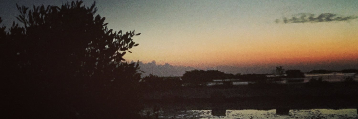 carlamangas's profile banner image