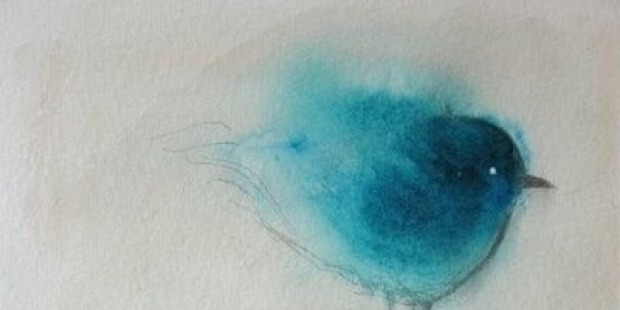 abbygail426's profile banner image