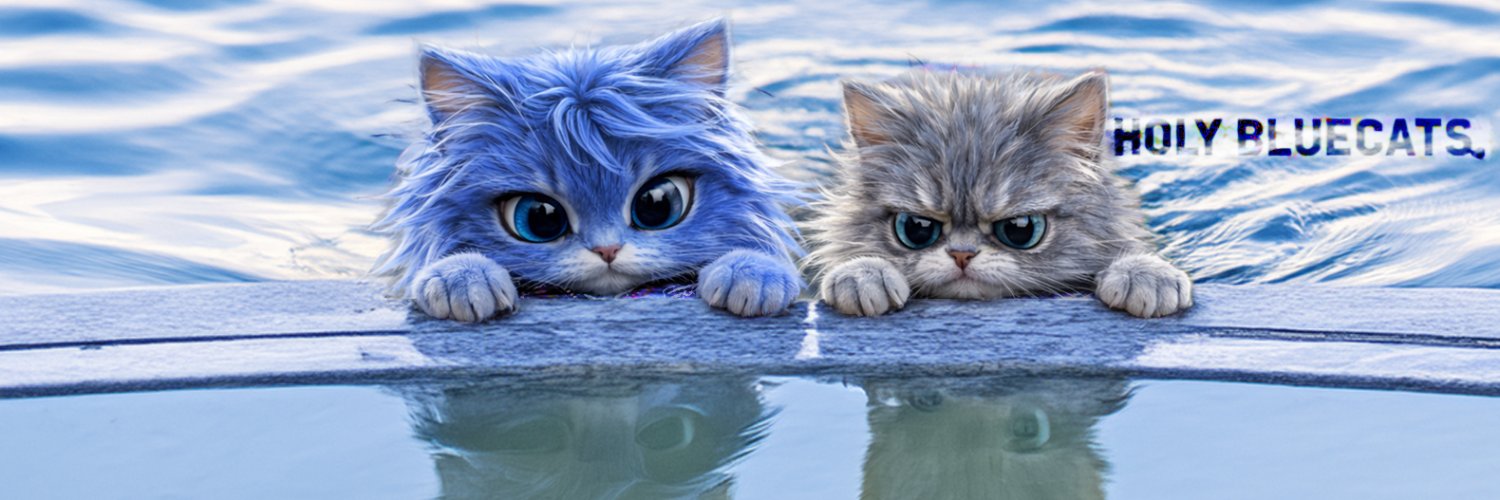 BC_and_CC's profile banner image