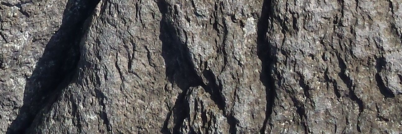 TevaTelleva's profile banner image