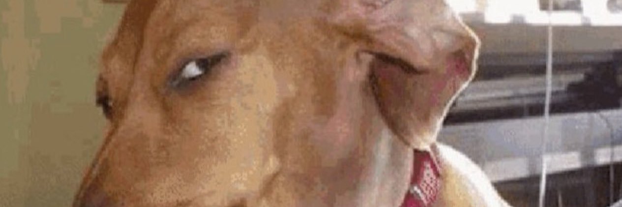 Horror banner